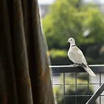 Hylands Burren ホテル バリーボーン