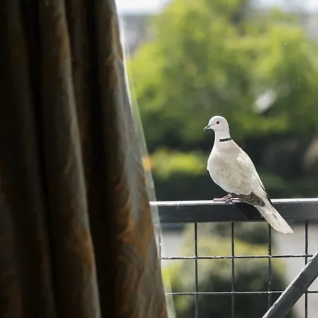 Hylands Burren Hotell Ballyvaughan