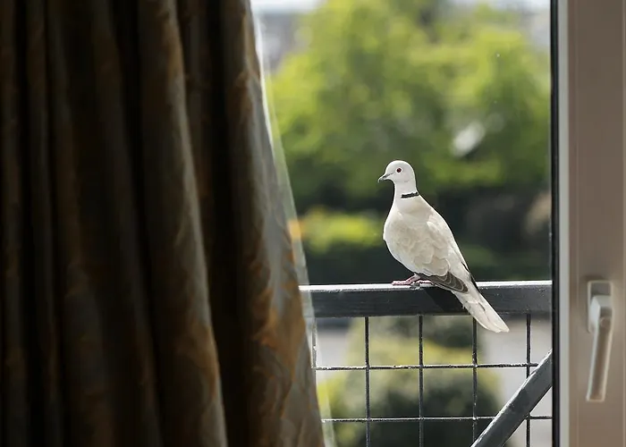 Hylands Burren Hotel Ballyvaughan